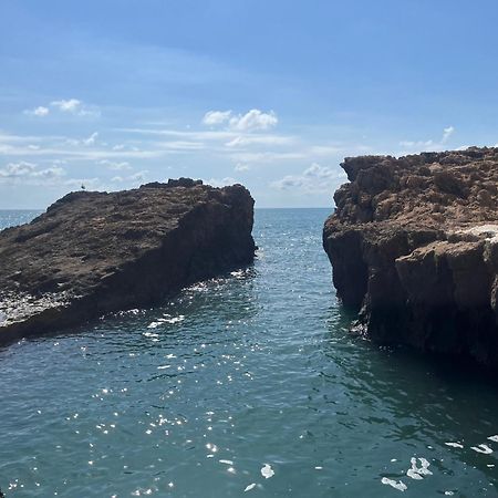Despertar En Torrevieja Villa Dış mekan fotoğraf