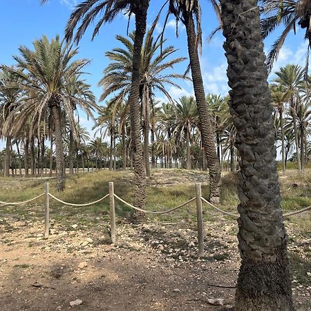 Despertar En Torrevieja Villa Dış mekan fotoğraf