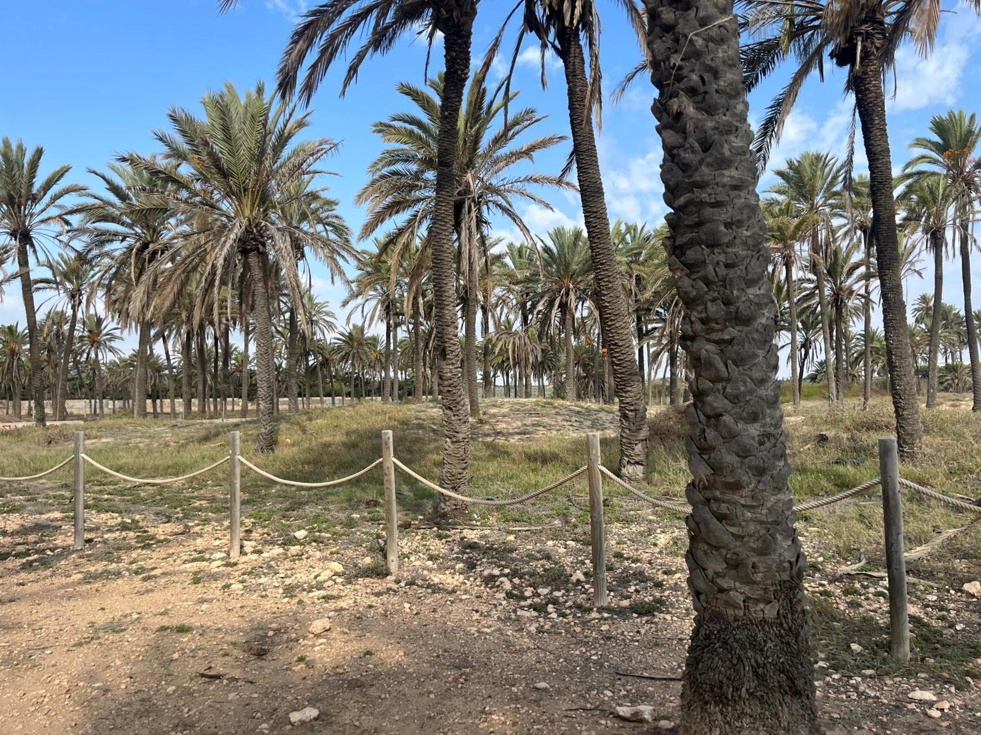 Despertar En Torrevieja Villa Dış mekan fotoğraf